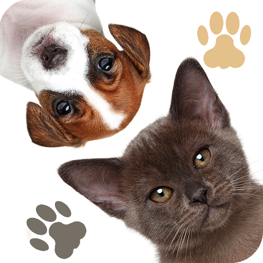 Find a Pet - Hidden Object  Icon