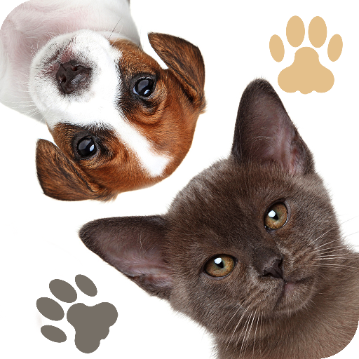 Find a Pet - Hidden Object logo