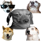Dog memes stickers - WAStickerApps Download on Windows