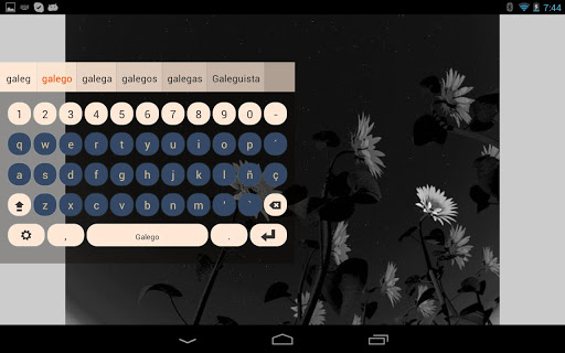 Galego Keyboard Plugin Screen 2