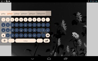 screenshot of Galego Keyboard Plugin