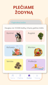 Ekrano kopijos vaizdas