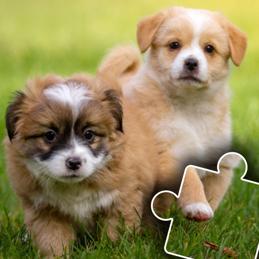 Dogs & Cats Puzzles for kids 2  Icon
