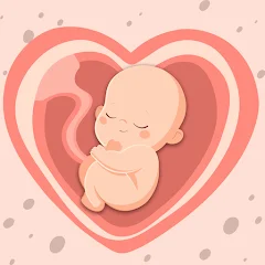 HiMommy: aplicativo para acompanhar a gravidez diariamente
