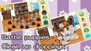 OMG Dog Ver1 - Screenshot 3