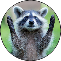 Icon image Raccoon Sounds