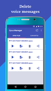 OPUS Voice & Audio Manager Screenshot