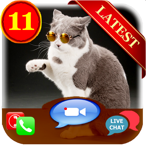 Cat Fake Call  Video Call  Chat- Simulation