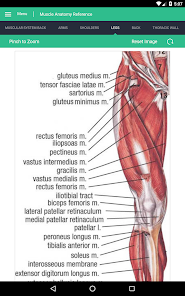 Captura 10 Muscle Anatomy Reference Guide android