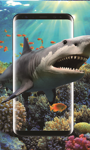 3d Shark In The Oceanビデオライブ壁紙無料 By Free Live Wallpaper Google Play Japan Searchman App Data Information