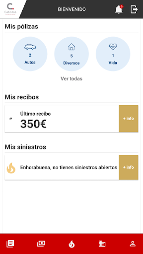 Ceballos Seguros Screen 2