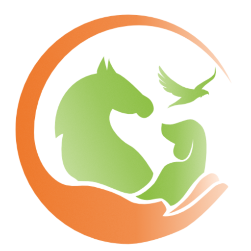 Maty logo