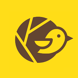 Baya - Small Business Website: Download & Review
