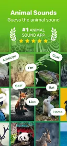 Guess the Animal Sounds