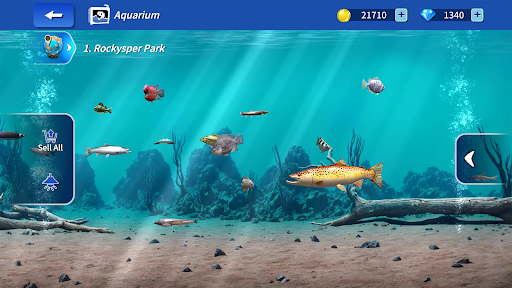 My Fishing Tour Hook and Jerk