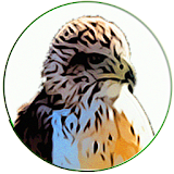 Sounds of Hawk and Eagle Joke icon