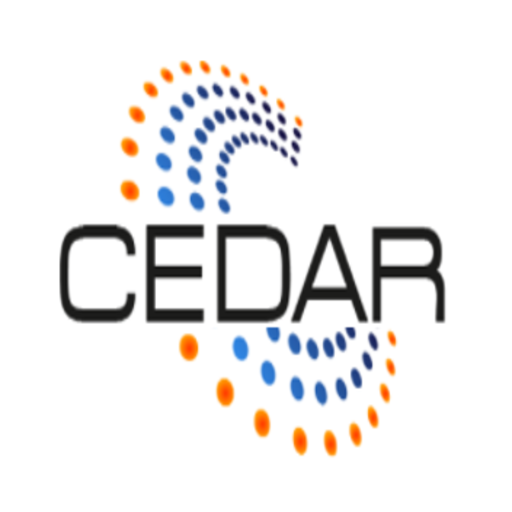 CMMS DEESTONE logo