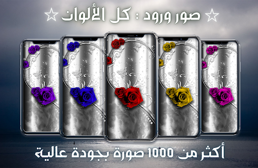 Android application Rose pictures: all colors screenshort