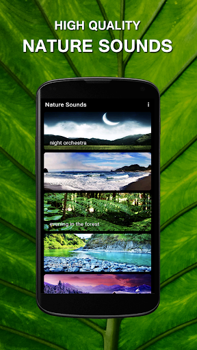 Android application Nature Sounds - Relax & Sleep screenshort