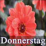 Donnerstag icon