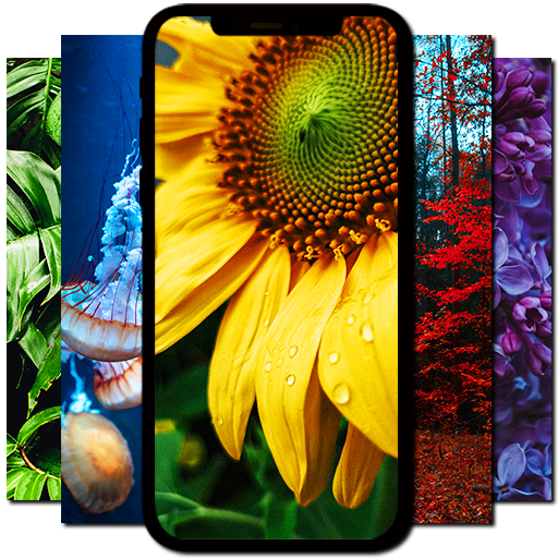 4k Wallpapers FHD Backgrounds logo