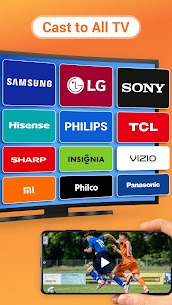 Cast to TV, Chromecast & Roku 2
