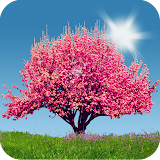 Spring Trees Live Wallpaper icon