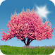 Spring Trees Live Wallpaper - Androidアプリ