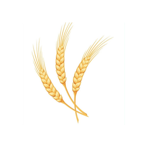 HalwaPlaza - Tirunelveli Halwa logo