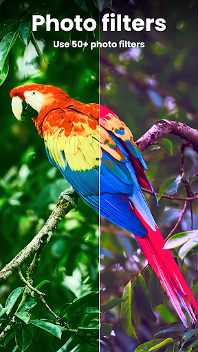 Enhance it - AI Photo Editor - Photography - apps