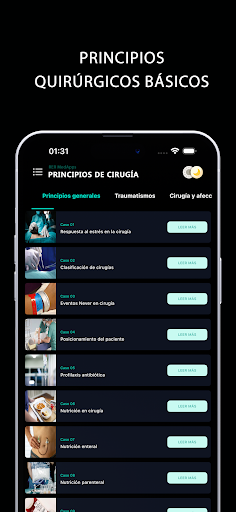Vista previa de la aplicación