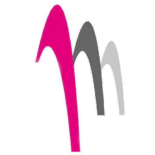 Lomaco NeithWeb logo