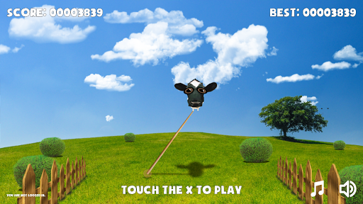 Cow Balance Screen 3