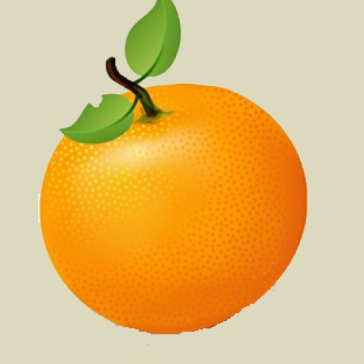 Cool Orange logo