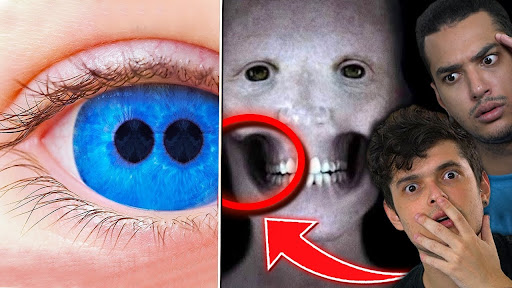 Você Sabia - Vídeos novos e engraçados