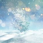 Cover Image of Download 카카오톡 테마 - 겨울 나무 (카톡테마)  APK