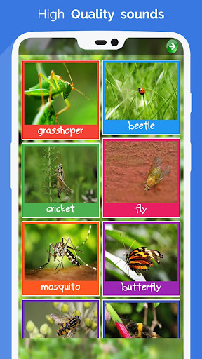 Animal Sounds : Ringtones Screen 2