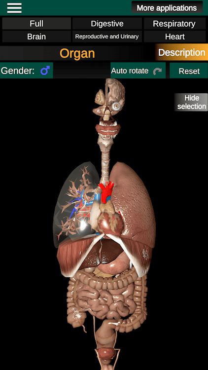 Internal Organs in 3D Anatomy - 3.1 - (Android)