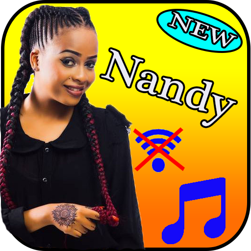 Nandy without internet