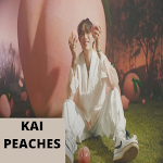 Cover Image of ダウンロード kai - peaches 1 APK