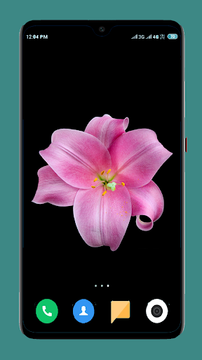Flowers Wallpaper 4K Screen 2