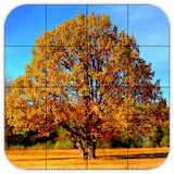 Tile Puzzles · Autumn icon