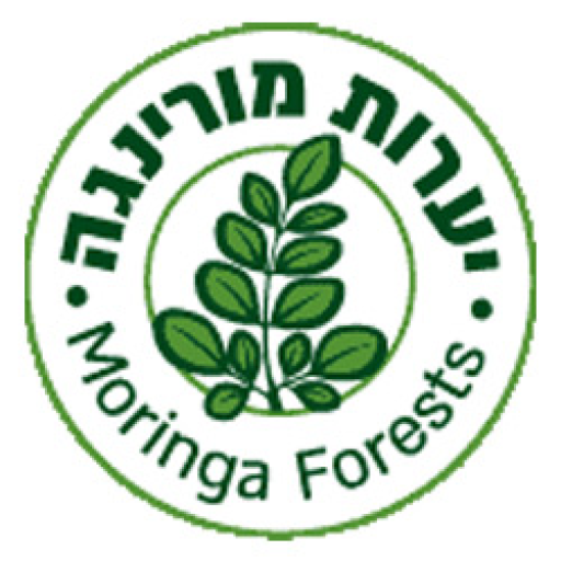 יערות מורינגה 3.0 Icon