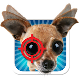 Wobble Magic - 3D Photo Maker icon