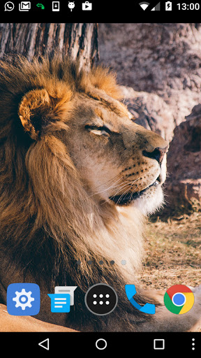 king lion wallpaper Screen 2