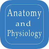 Anatomy and Physiology Quiz icon