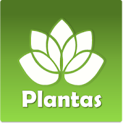 Medicinal Plants - Natural medicine for your home