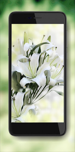 Lilies Flowers Live Wallpaper