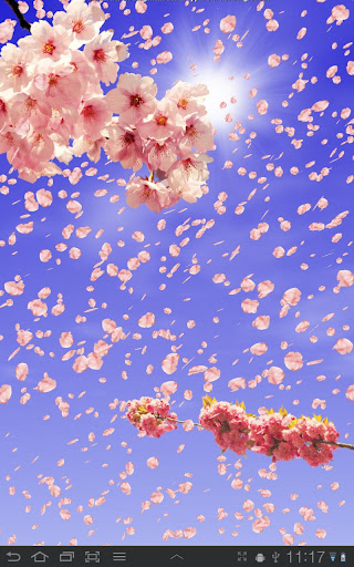 Android application Sakura Live Wallpaper screenshort