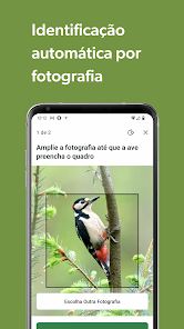 Imagem de captura de ecrã